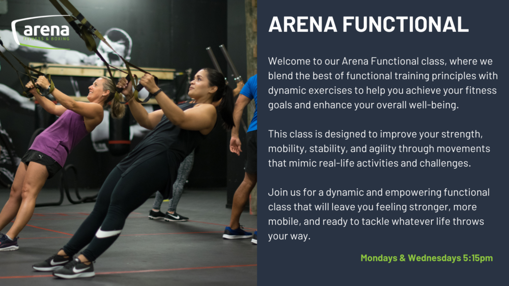 arena fitness arena functional