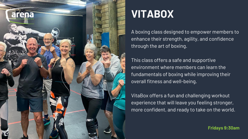arena fitness vita box